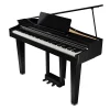 dan-piano-roland-gp3-musiccity
