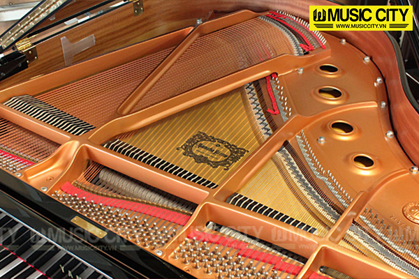 Đàn Grand Yamaha C1 - Ảnh 5