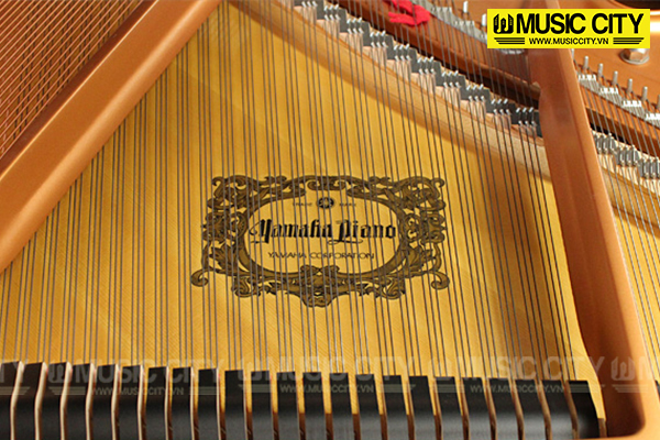 Đàn Grand Yamaha C1 - Ảnh 6