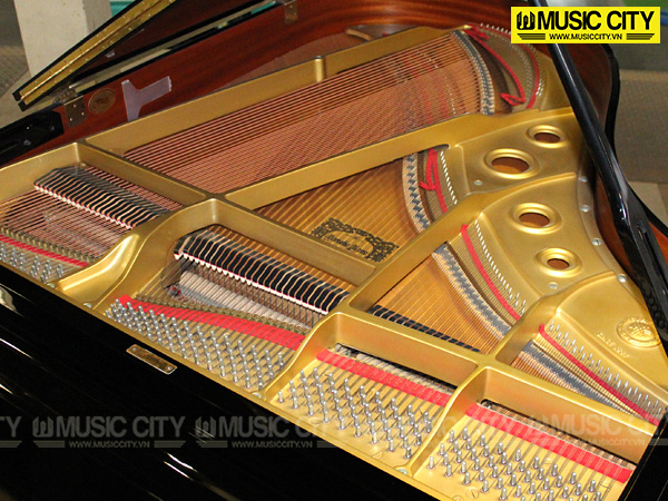 Music City – Tổng Kho Piano, Guitar, Organ | Dịch Vụ Giáo Dục Âm Nhạc