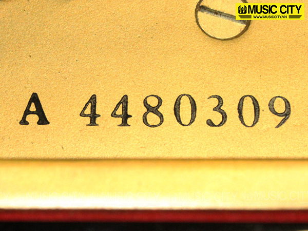 Đàn Grand Yamaha G3A - Ảnh 5