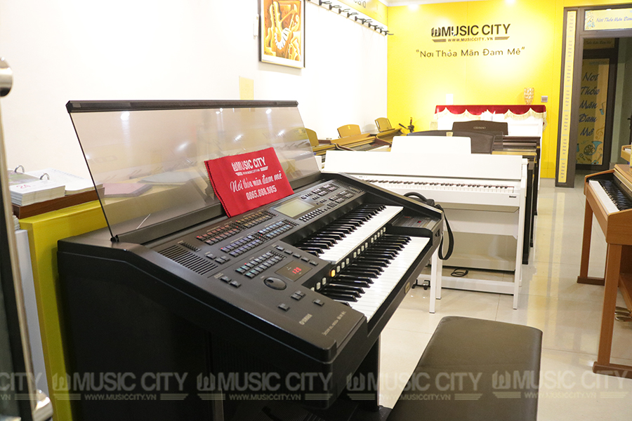 Music City – Tổng Kho Piano, Guitar, Organ | Dịch Vụ Giáo Dục Âm Nhạc