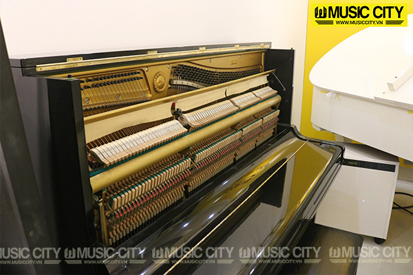Music City – Tổng Kho Piano, Guitar, Organ | Dịch Vụ Giáo Dục Âm Nhạc