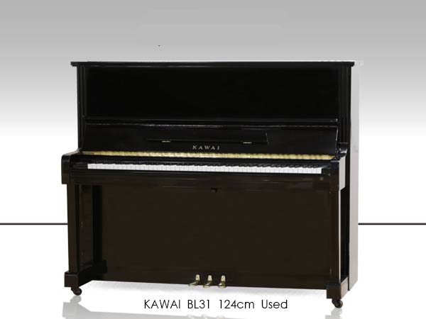 Music City – Tổng Kho Piano, Guitar, Organ | Dịch Vụ Giáo Dục Âm Nhạc