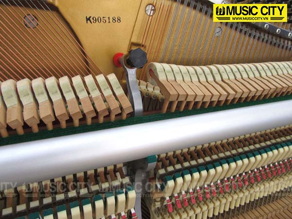 Music City – Tổng Kho Piano, Guitar, Organ | Dịch Vụ Giáo Dục Âm Nhạc