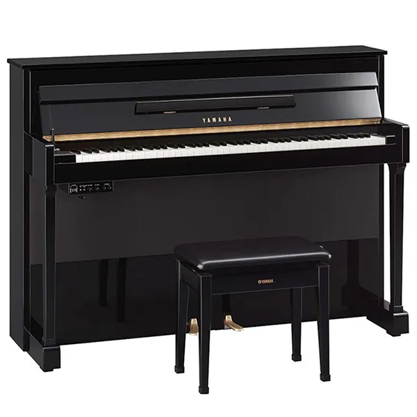 Music City – Tổng Kho Piano, Guitar, Organ | Dịch Vụ Giáo Dục Âm Nhạc