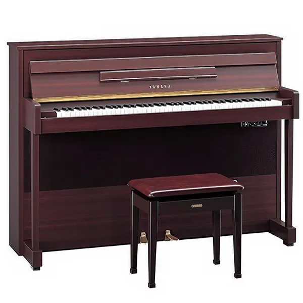 Music City – Tổng Kho Piano, Guitar, Organ | Dịch Vụ Giáo Dục Âm Nhạc