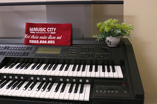 Music City – Tổng Kho Piano, Guitar, Organ | Dịch Vụ Giáo Dục Âm Nhạc