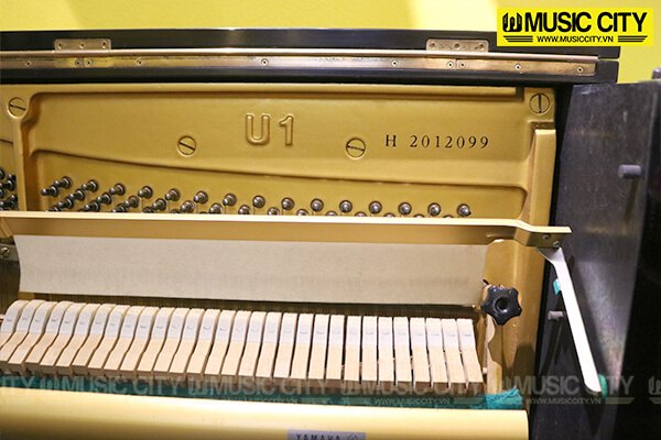 Music City – Tổng Kho Piano, Guitar, Organ | Dịch Vụ Giáo Dục Âm Nhạc