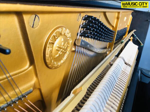 Music City – Tổng Kho Piano, Guitar, Organ | Dịch Vụ Giáo Dục Âm Nhạc