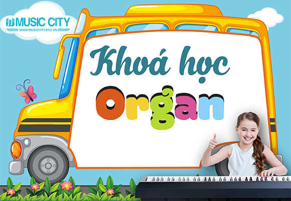 Music City – Tổng Kho Piano, Guitar, Organ | Dịch Vụ Giáo Dục Âm Nhạc