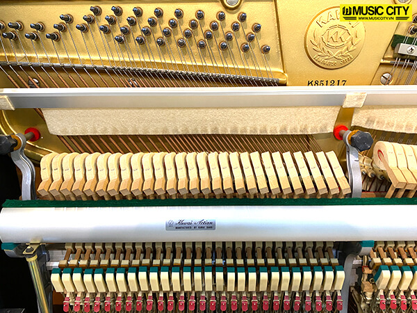 Music City – Tổng Kho Piano, Guitar, Organ | Dịch Vụ Giáo Dục Âm Nhạc