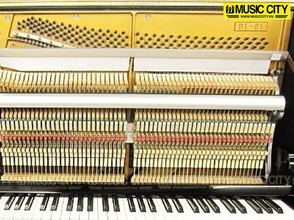 Music City – Tổng Kho Piano, Guitar, Organ | Dịch Vụ Giáo Dục Âm Nhạc