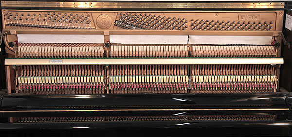 Music City – Tổng Kho Piano, Guitar, Organ | Dịch Vụ Giáo Dục Âm Nhạc