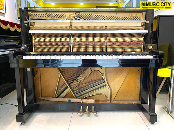 Music City – Tổng Kho Piano, Guitar, Organ | Dịch Vụ Giáo Dục Âm Nhạc