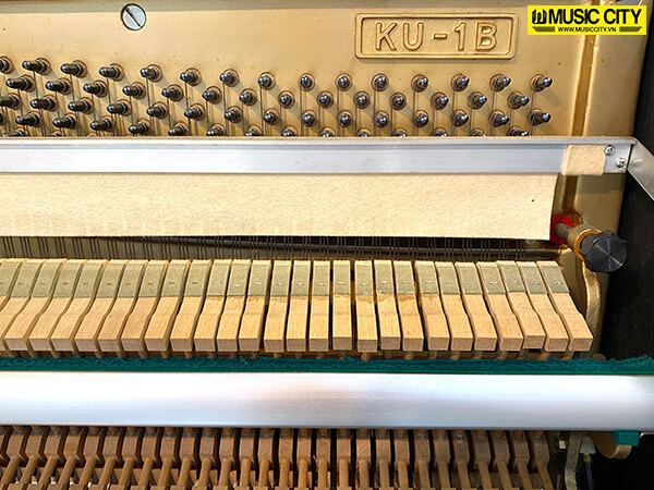 Music City – Tổng Kho Piano, Guitar, Organ | Dịch Vụ Giáo Dục Âm Nhạc
