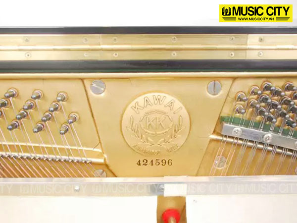 Music City – Tổng Kho Piano, Guitar, Organ | Dịch Vụ Giáo Dục Âm Nhạc