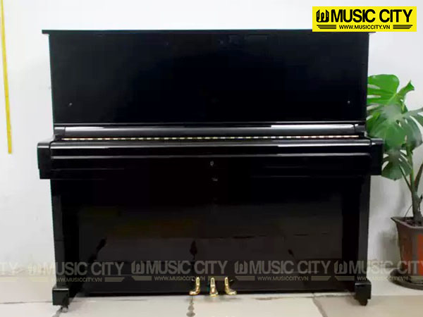 Music City – Tổng Kho Piano, Guitar, Organ | Dịch Vụ Giáo Dục Âm Nhạc