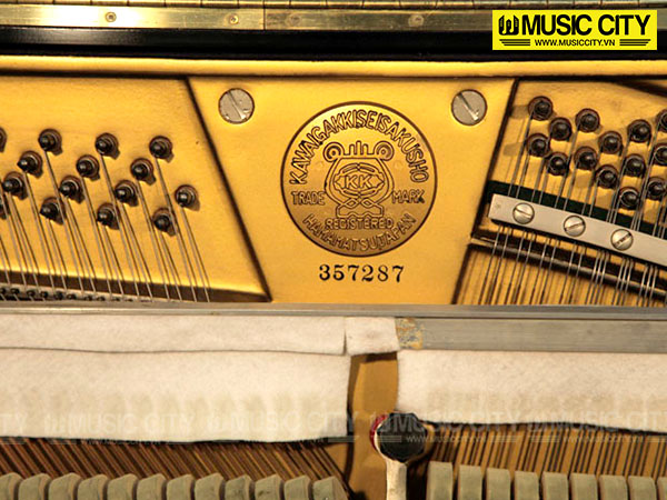 Music City – Tổng Kho Piano, Guitar, Organ | Dịch Vụ Giáo Dục Âm Nhạc