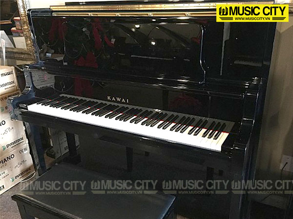Music City – Tổng Kho Piano, Guitar, Organ | Dịch Vụ Giáo Dục Âm Nhạc