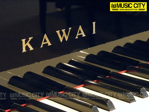 Music City – Tổng Kho Piano, Guitar, Organ | Dịch Vụ Giáo Dục Âm Nhạc
