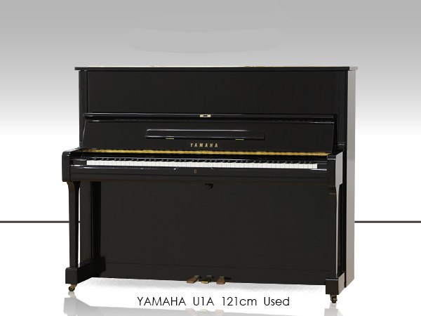 Music City – Tổng Kho Piano, Guitar, Organ | Dịch Vụ Giáo Dục Âm Nhạc