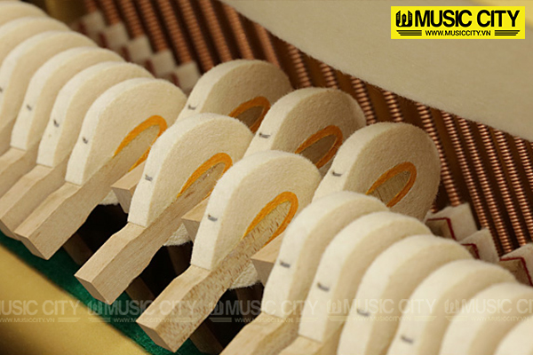 Music City – Tổng Kho Piano, Guitar, Organ | Dịch Vụ Giáo Dục Âm Nhạc
