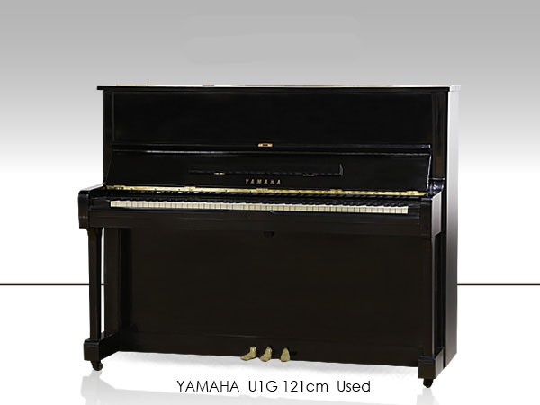 Music City – Tổng Kho Piano, Guitar, Organ | Dịch Vụ Giáo Dục Âm Nhạc
