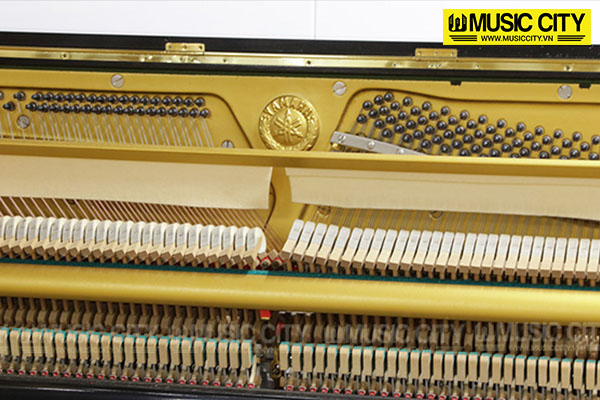 Music City – Tổng Kho Piano, Guitar, Organ | Dịch Vụ Giáo Dục Âm Nhạc
