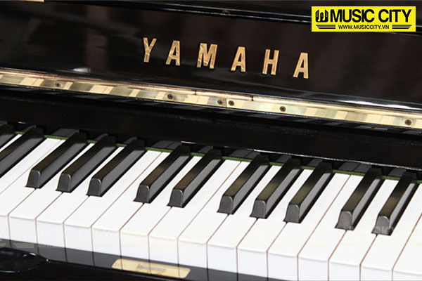 Music City – Tổng Kho Piano, Guitar, Organ | Dịch Vụ Giáo Dục Âm Nhạc