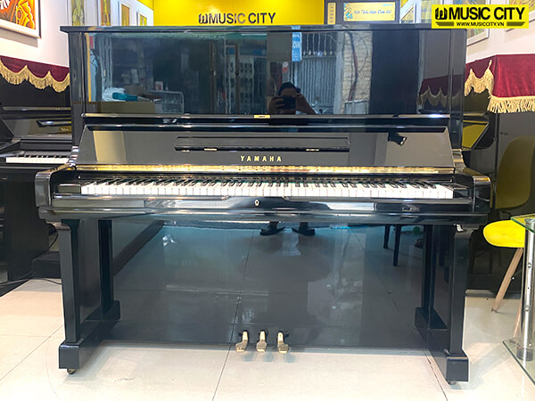Music City – Tổng Kho Piano, Guitar, Organ | Dịch Vụ Giáo Dục Âm Nhạc