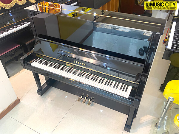 Music City – Tổng Kho Piano, Guitar, Organ | Dịch Vụ Giáo Dục Âm Nhạc