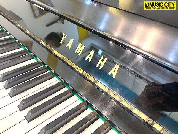 Music City – Tổng Kho Piano, Guitar, Organ | Dịch Vụ Giáo Dục Âm Nhạc