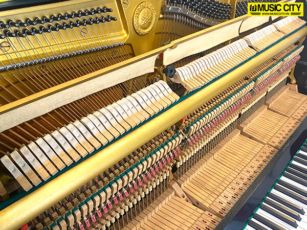 Music City – Tổng Kho Piano, Guitar, Organ | Dịch Vụ Giáo Dục Âm Nhạc