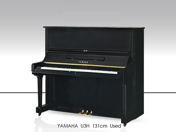Music City – Tổng Kho Piano, Guitar, Organ | Dịch Vụ Giáo Dục Âm Nhạc