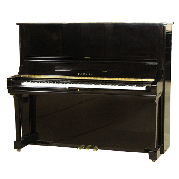 Music City – Tổng Kho Piano, Guitar, Organ | Dịch Vụ Giáo Dục Âm Nhạc