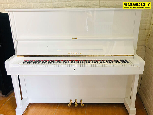 Music City – Tổng Kho Piano, Guitar, Organ | Dịch Vụ Giáo Dục Âm Nhạc