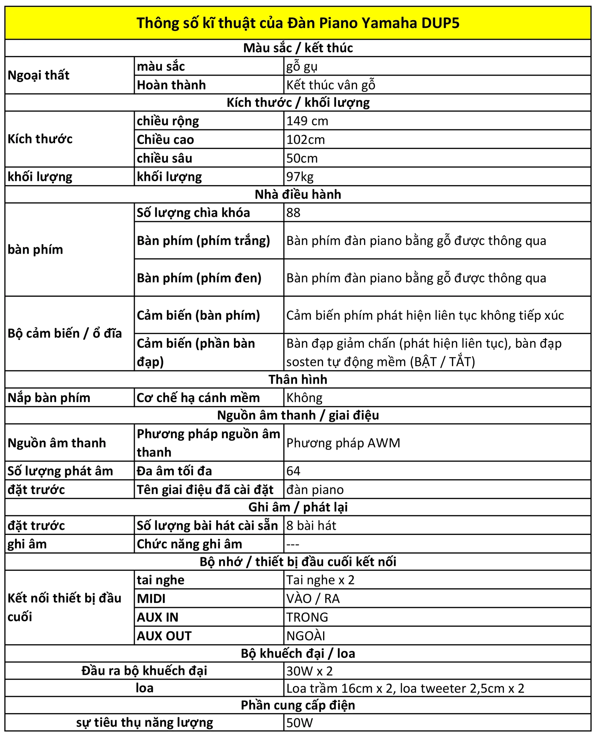 Music City – Tổng Kho Piano, Guitar, Organ | Dịch Vụ Giáo Dục Âm Nhạc