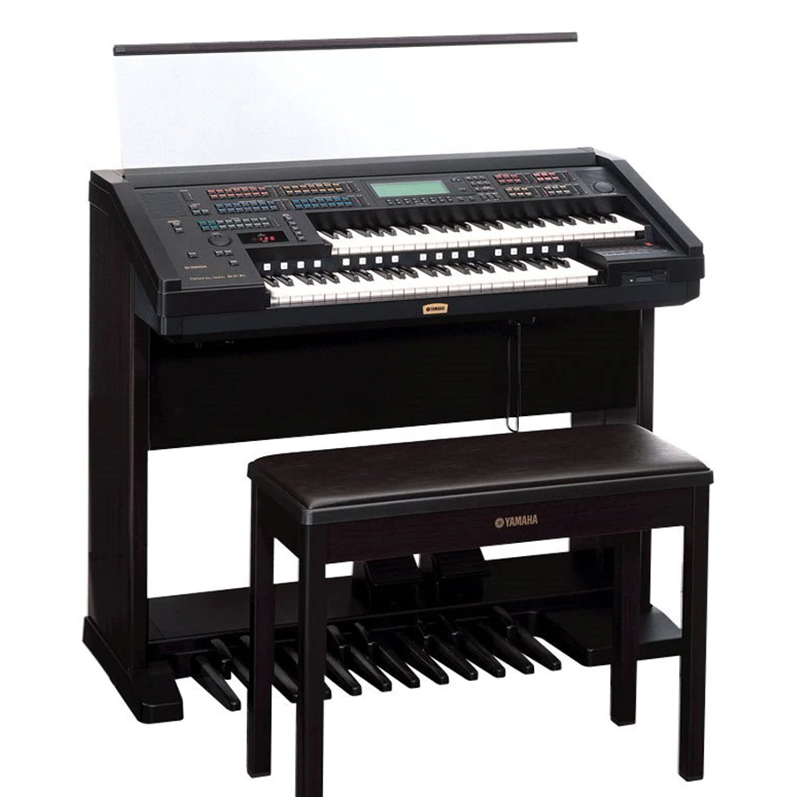 Music City – Tổng Kho Piano, Guitar, Organ | Dịch Vụ Giáo Dục Âm Nhạc