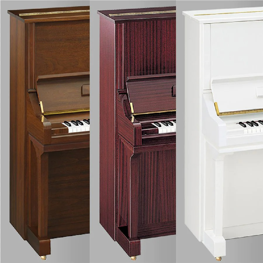 Music City – Tổng Kho Piano, Guitar, Organ | Dịch Vụ Giáo Dục Âm Nhạc