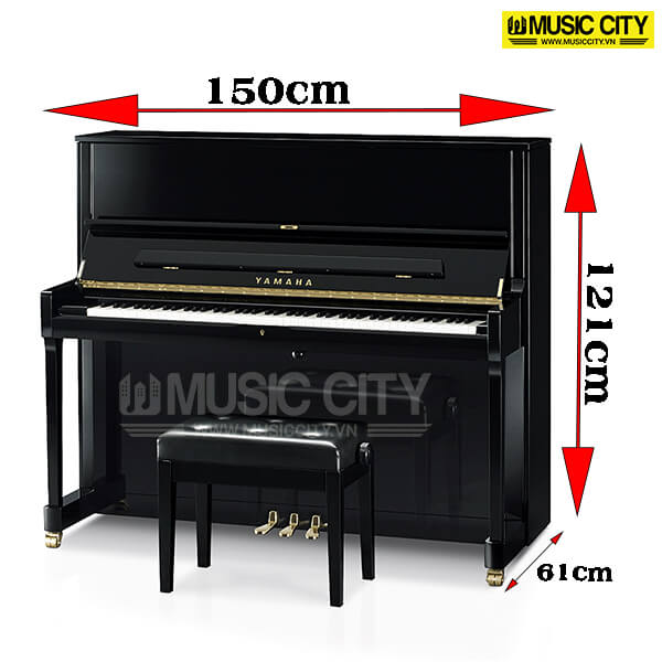 Music City – Tổng Kho Piano, Guitar, Organ | Dịch Vụ Giáo Dục Âm Nhạc