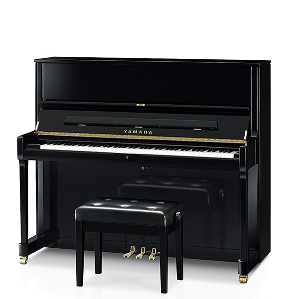 Music City – Tổng Kho Piano, Guitar, Organ | Dịch Vụ Giáo Dục Âm Nhạc