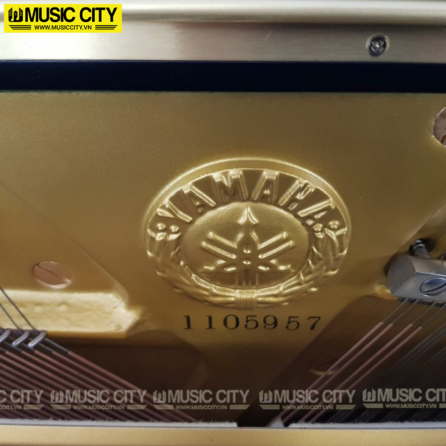 Music City – Tổng Kho Piano, Guitar, Organ | Dịch Vụ Giáo Dục Âm Nhạc