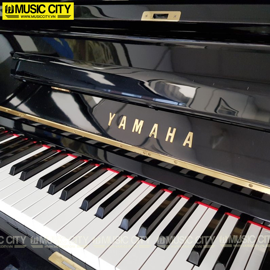 Music City – Tổng Kho Piano, Guitar, Organ | Dịch Vụ Giáo Dục Âm Nhạc