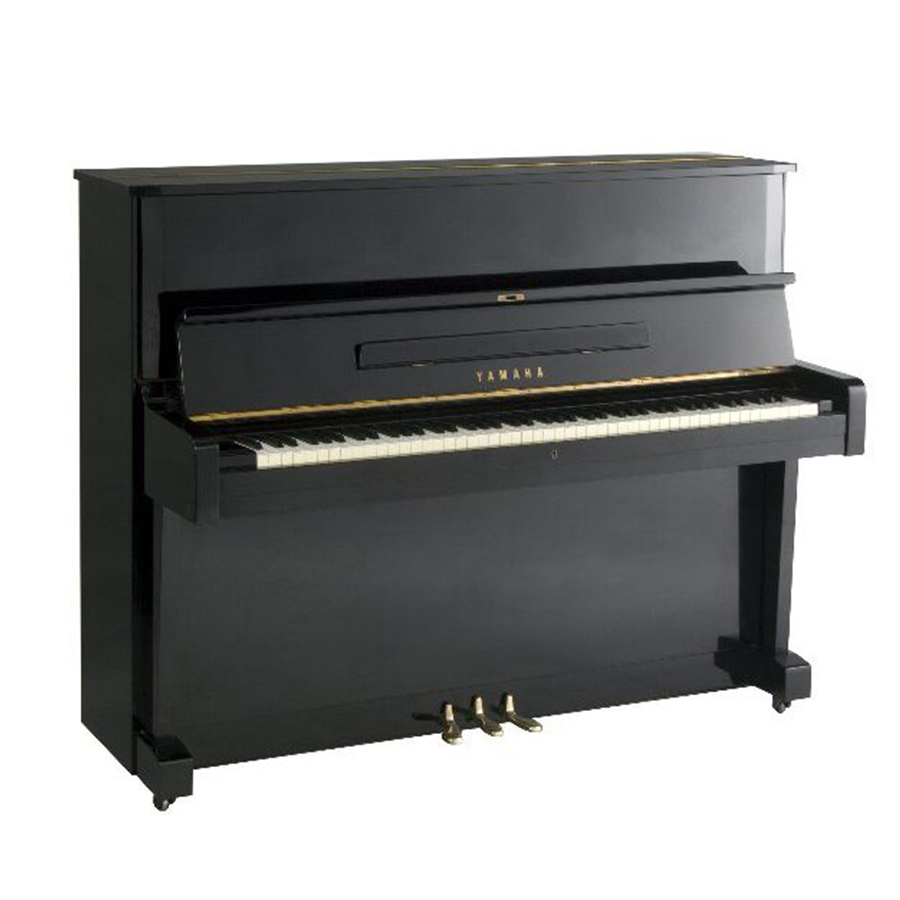 Music City – Tổng Kho Piano, Guitar, Organ | Dịch Vụ Giáo Dục Âm Nhạc