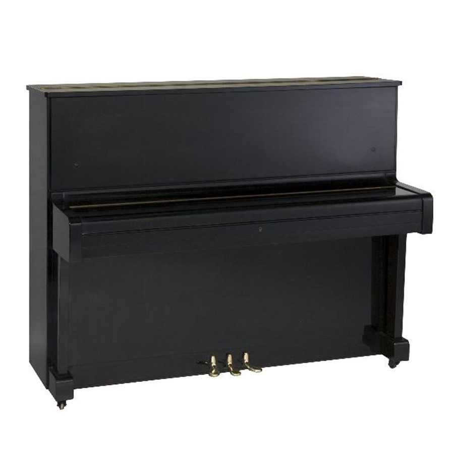 Music City – Tổng Kho Piano, Guitar, Organ | Dịch Vụ Giáo Dục Âm Nhạc
