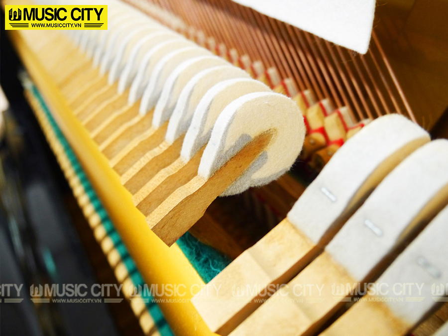 Music City – Tổng Kho Piano, Guitar, Organ | Dịch Vụ Giáo Dục Âm Nhạc