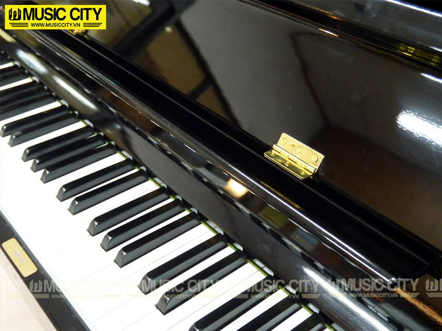 Music City – Tổng Kho Piano, Guitar, Organ | Dịch Vụ Giáo Dục Âm Nhạc
