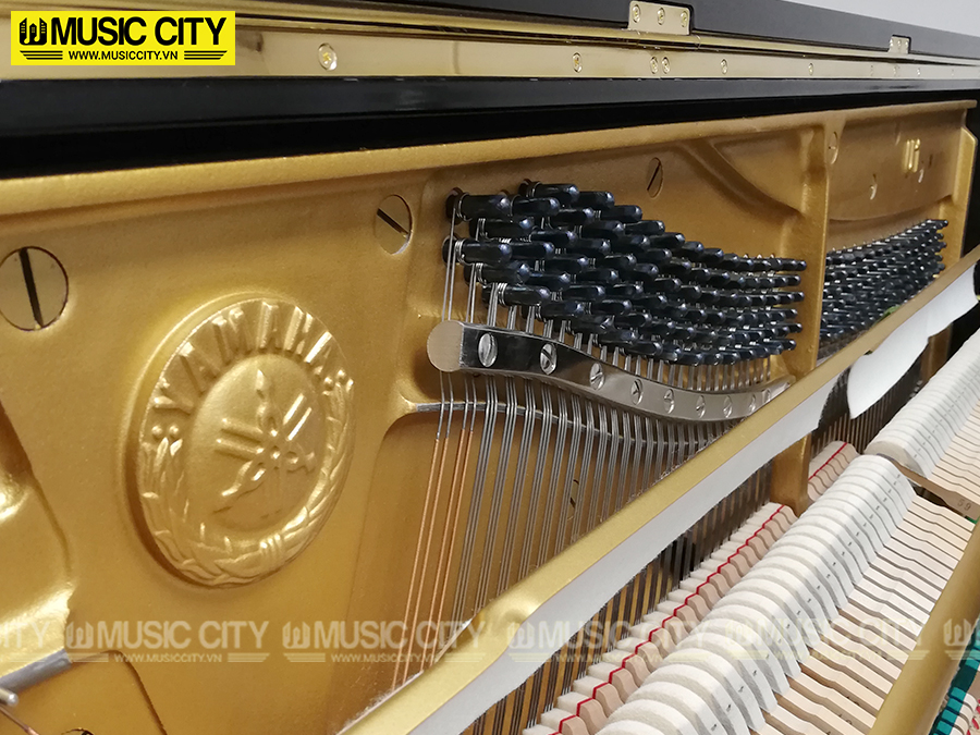 Music City – Tổng Kho Piano, Guitar, Organ | Dịch Vụ Giáo Dục Âm Nhạc