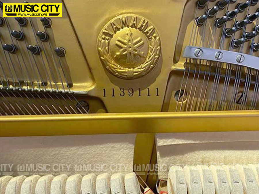 Music City – Tổng Kho Piano, Guitar, Organ | Dịch Vụ Giáo Dục Âm Nhạc